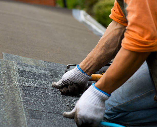 Best Roof Gutter Cleaning  in Towamensing Trails, PA